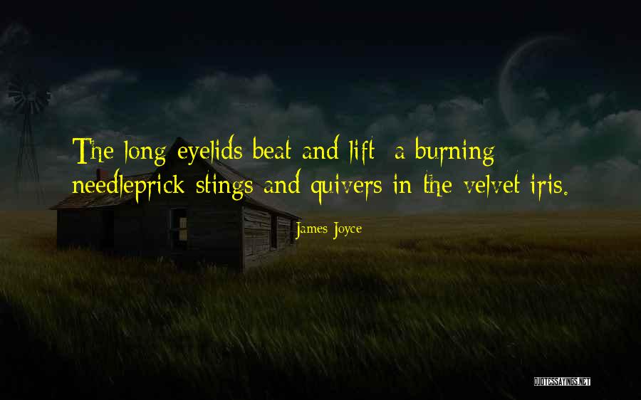Chevreau Leather Quotes By James Joyce Chevreau Leather Quotes By James Joyce