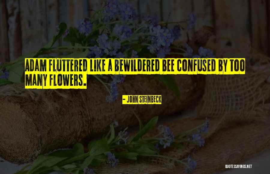 Chevy Silveraydo Quotes By John Steinbeck