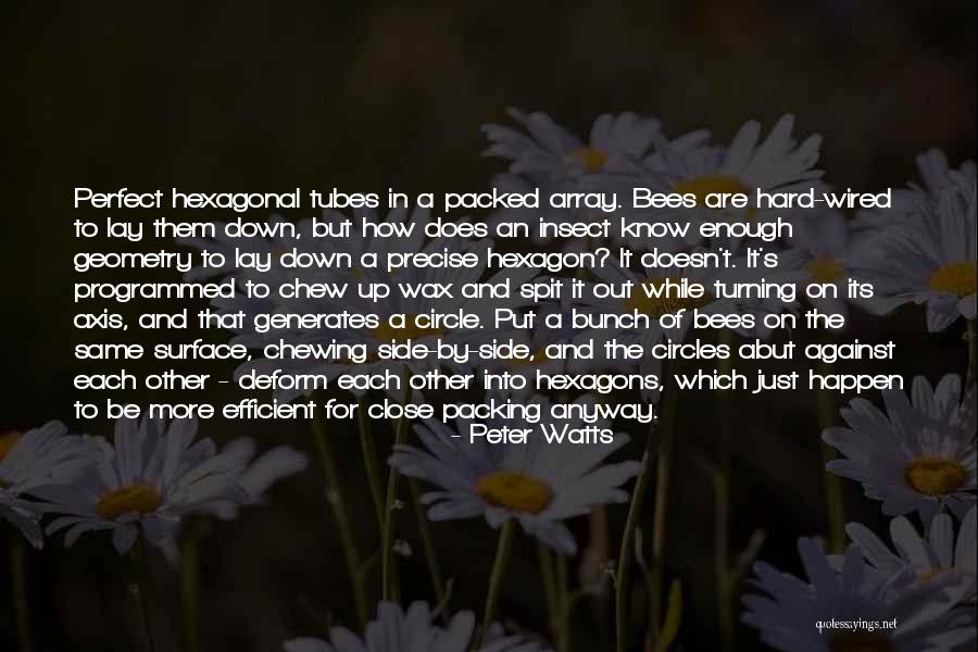Chew Out Quotes By Peter Watts Chew Out Quotes By Peter Watts