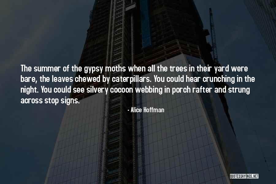 Chewed Quotes By Alice Hoffman Chewed Quotes By Alice Hoffman