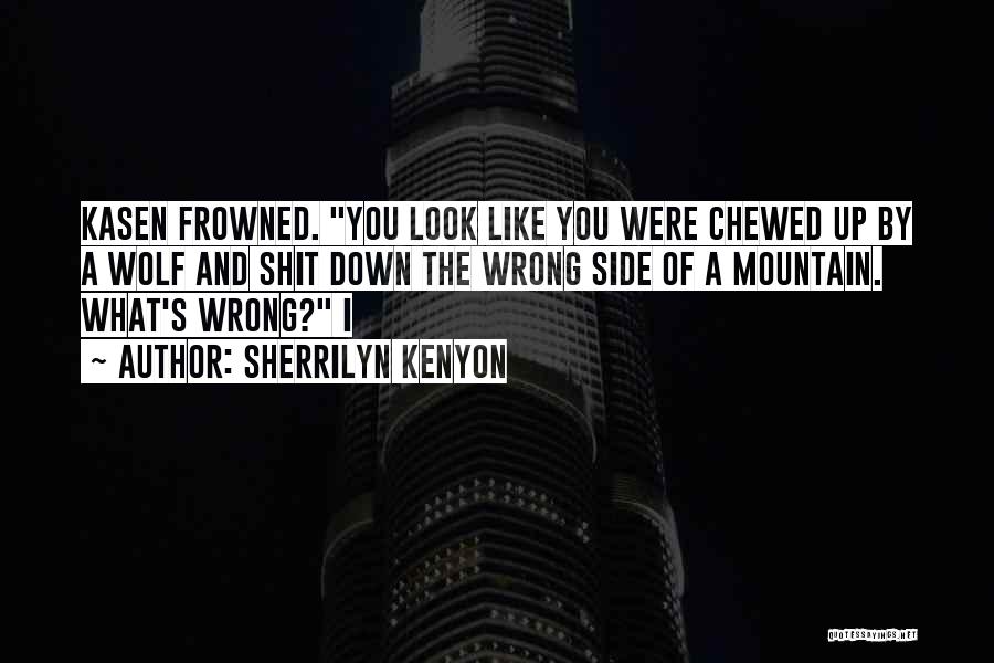 Chewed Up Quotes By Sherrilyn Kenyon