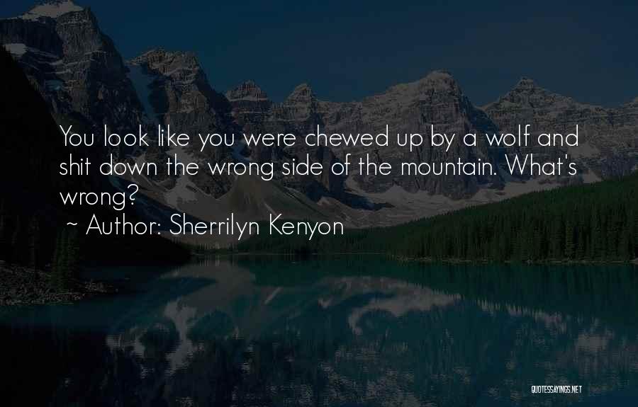 Chewed Up Quotes By Sherrilyn Kenyon