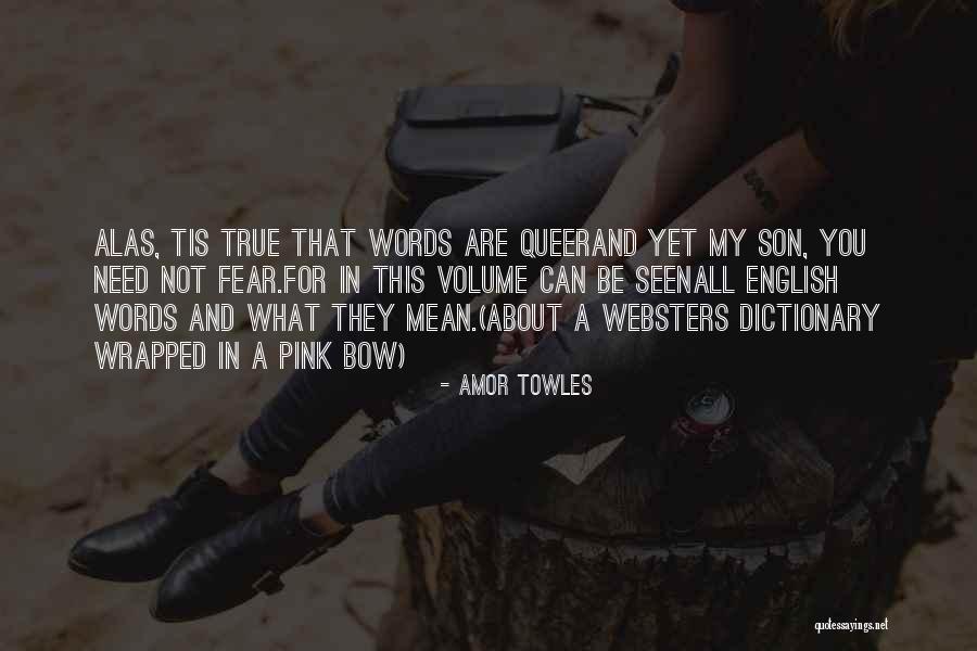 Chhath Festival Quotes By Amor Towles Chhath Festival Quotes By Amor Towles