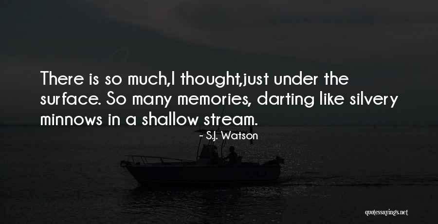 Chhena Poda Quotes By S.J. Watson Chhena Poda Quotes By S.J. Watson