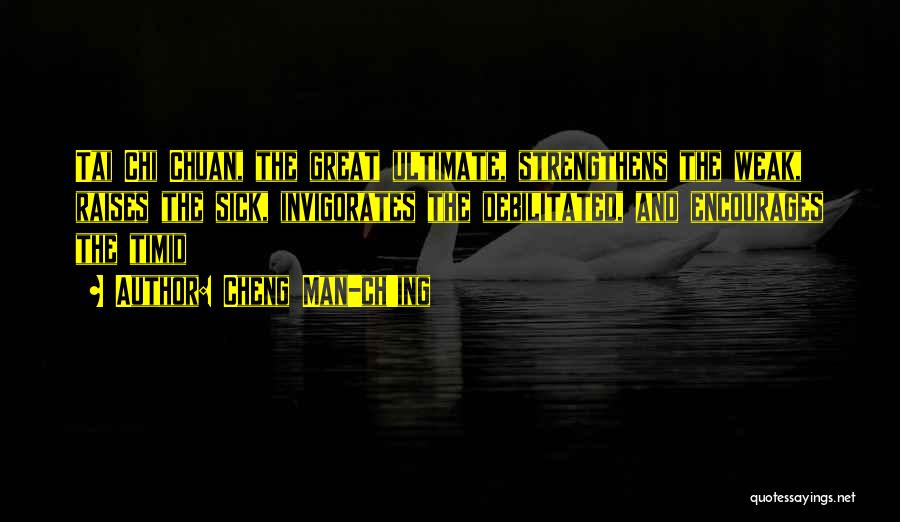 Chi Cheng Quotes By Cheng Man-ch'ing
