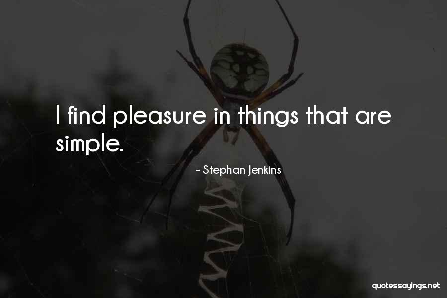 Chiaki Mukai Quotes By Stephan Jenkins