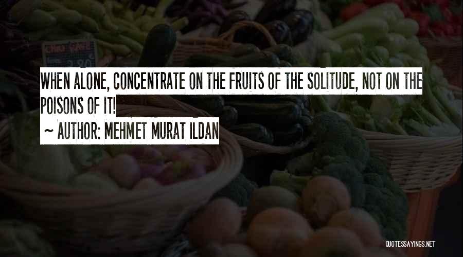 Chibibiscuit Quotes By Mehmet Murat Ildan
