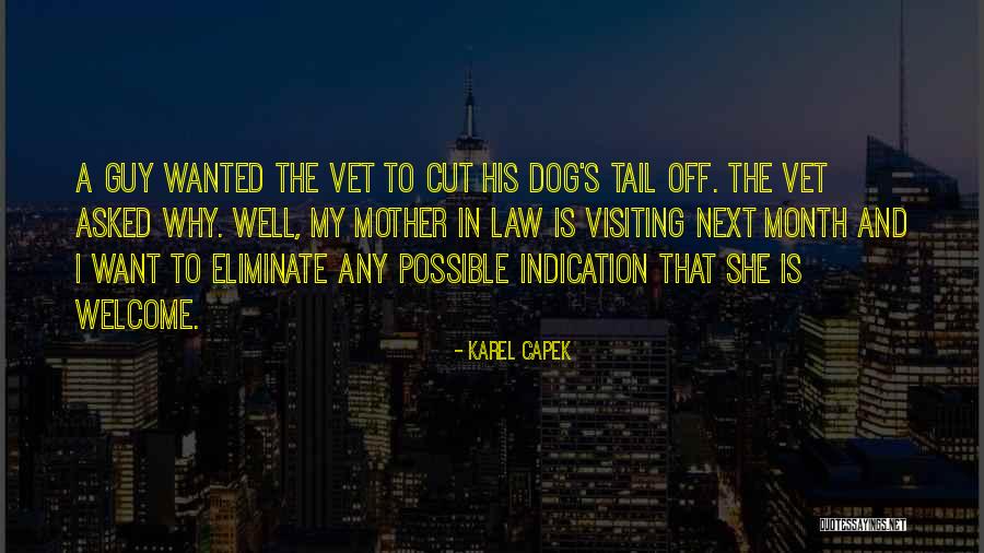 Chicago Cincinnati Quotes By Karel Capek Chicago Cincinnati Quotes By Karel Capek