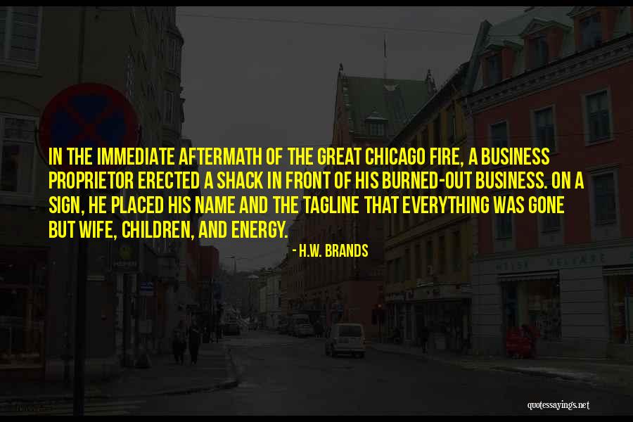 Chicago Fire Quotes By H.W. Brands