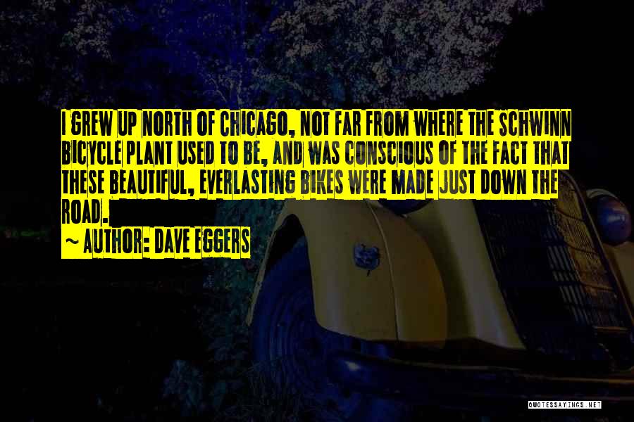 Chicago P.d Quotes By Dave Eggers
