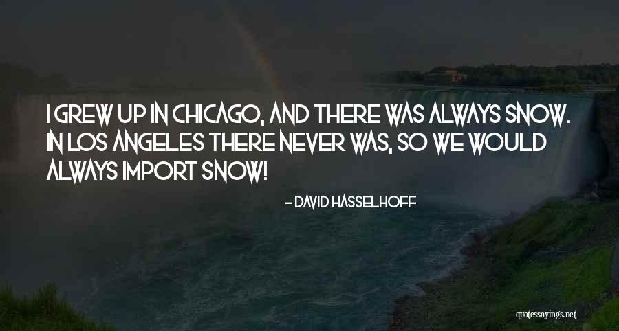 Chicago Snow Quotes By David Hasselhoff