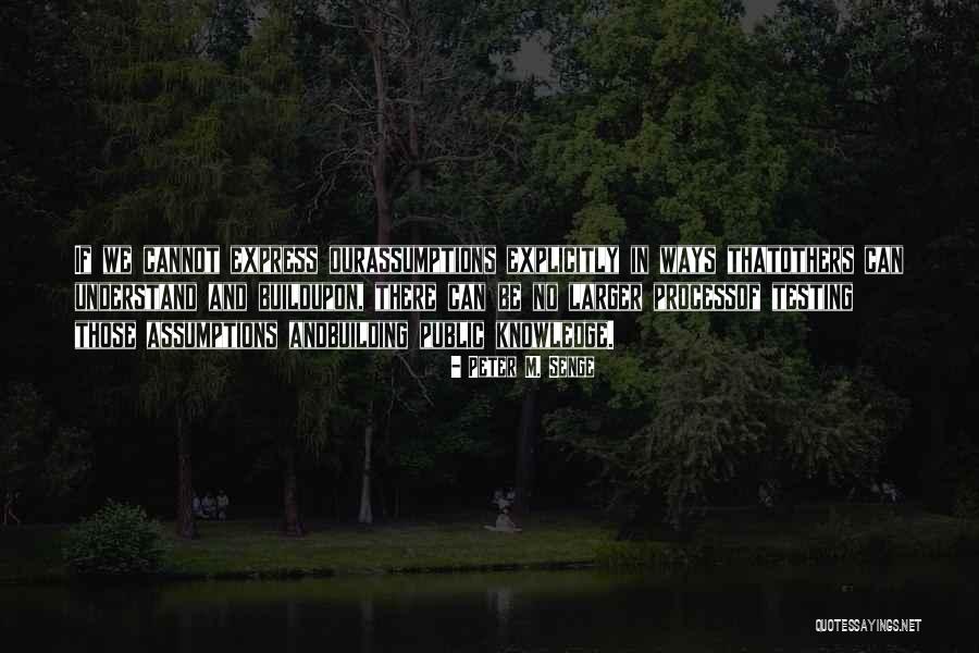 Chicago Videos Quotes By Peter M. Senge Chicago Videos Quotes By Peter M. Senge