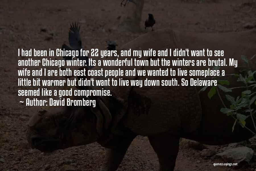 Chicago Winter Quotes By David Bromberg