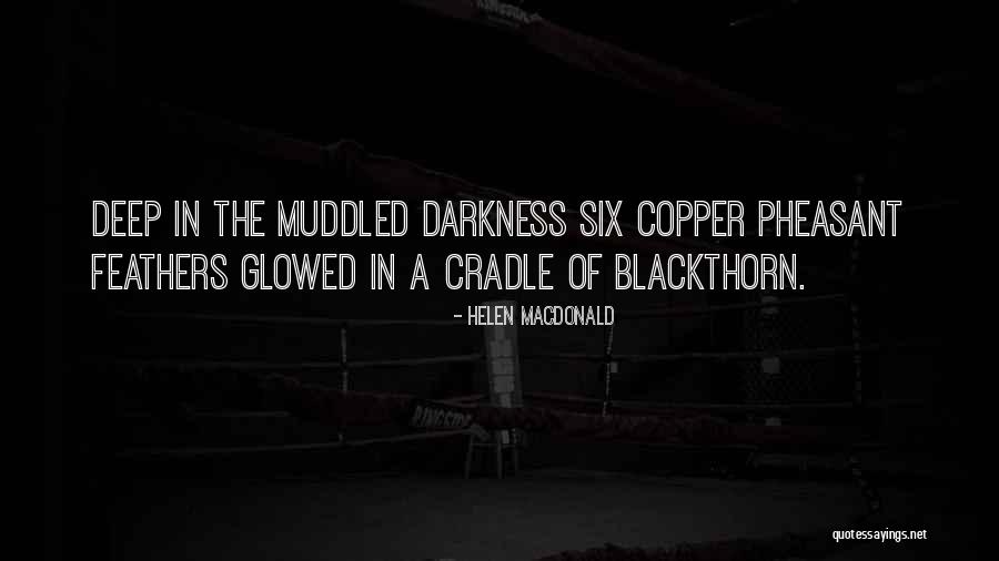 Chicanery Synonym Quotes By Helen Macdonald Chicanery Synonym Quotes By Helen Macdonald