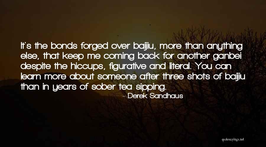 Chicanes Sebring Quotes By Derek Sandhaus Chicanes Sebring Quotes By Derek Sandhaus