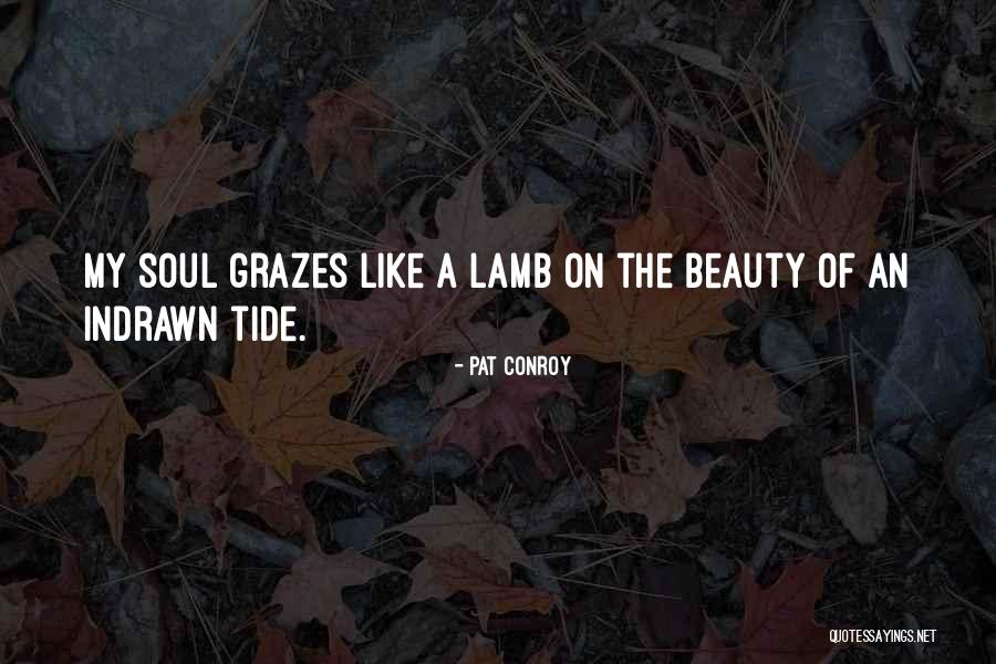 Chicken 65 Quotes By Pat Conroy Chicken 65 Quotes By Pat Conroy