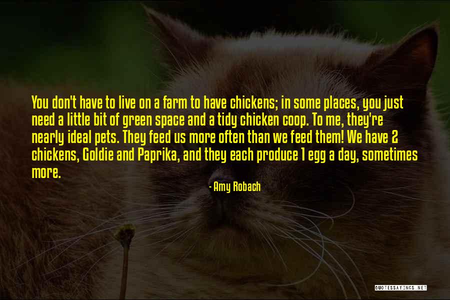 Chicken Egg Quotes By Amy Robach Chicken Egg Quotes By Amy Robach