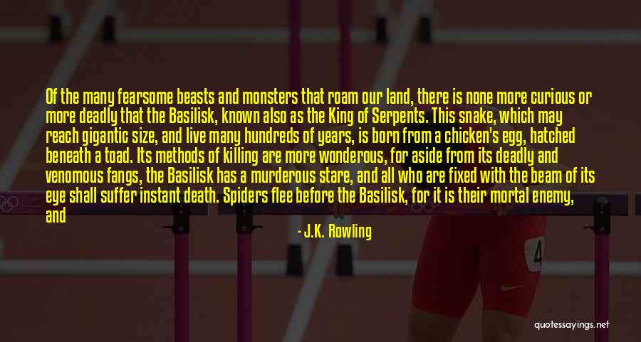Chicken Egg Quotes By J.K. Rowling Chicken Egg Quotes By J.K. Rowling