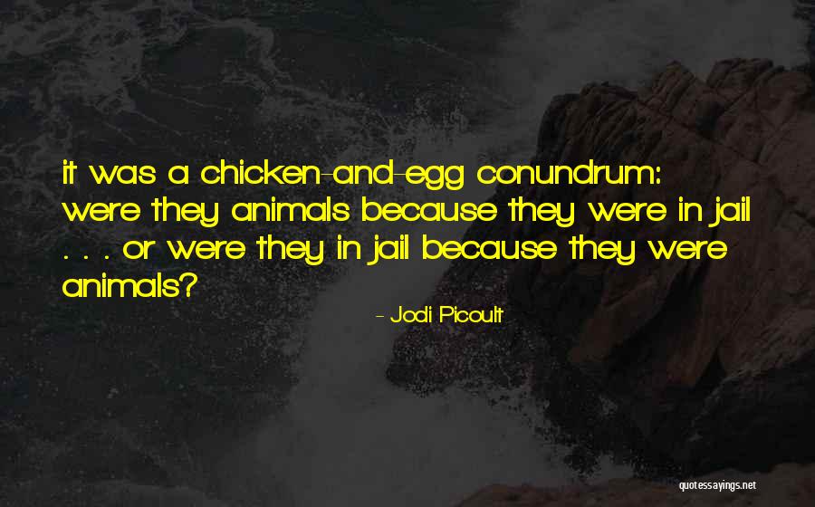 Chicken Egg Quotes By Jodi Picoult Chicken Egg Quotes By Jodi Picoult