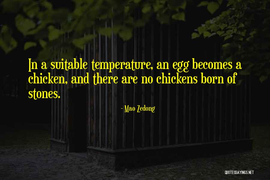 Chicken Egg Quotes By Mao Zedong Chicken Egg Quotes By Mao Zedong