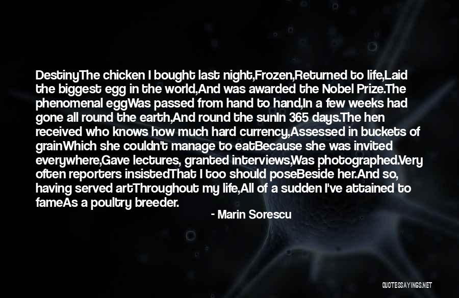Chicken Egg Quotes By Marin Sorescu Chicken Egg Quotes By Marin Sorescu