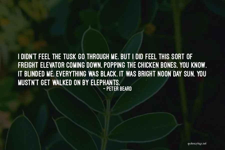 Chicken With Black Quotes By Peter Beard Chicken With Black Quotes By Peter Beard