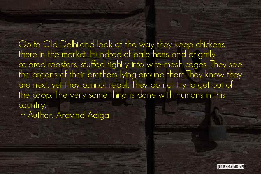 Chickens And Roosters Quotes By Aravind Adiga
