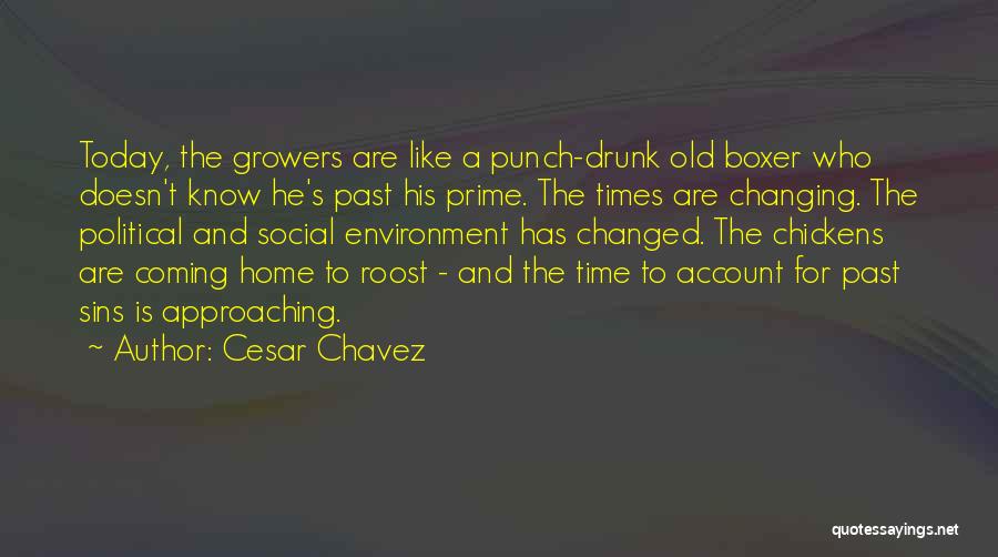 Chickens Coming Home To Roost Quotes By Cesar Chavez
