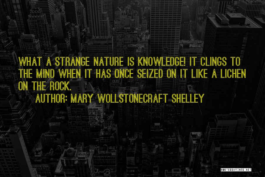 Chickidee Quotes By Mary Wollstonecraft Shelley