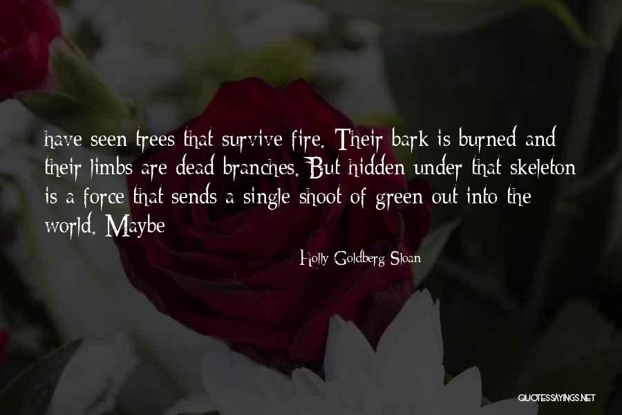 Chickity China Quotes By Holly Goldberg Sloan Chickity China Quotes By Holly Goldberg Sloan