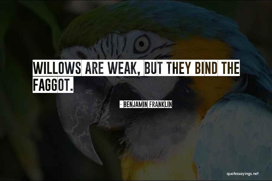 Chickll Quotes By Benjamin Franklin Chickll Quotes By Benjamin Franklin