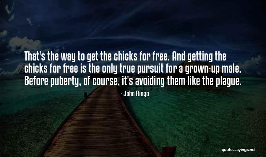 Chicks Before D Quotes By John Ringo Chicks Before D Quotes By John Ringo