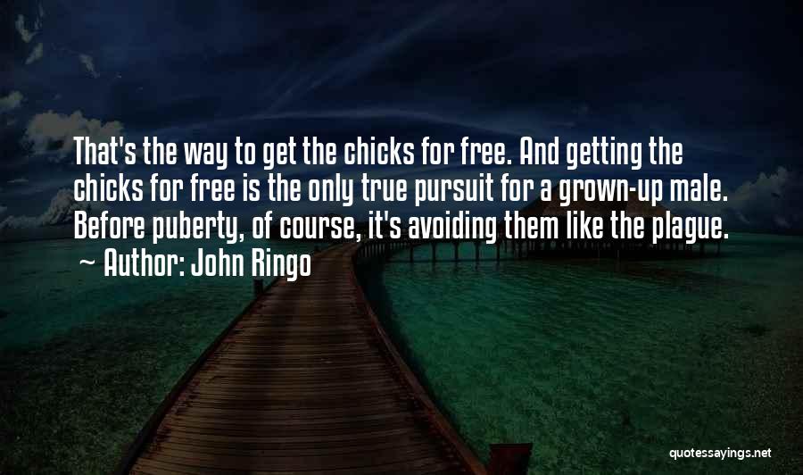Chicks Before Quotes By John Ringo