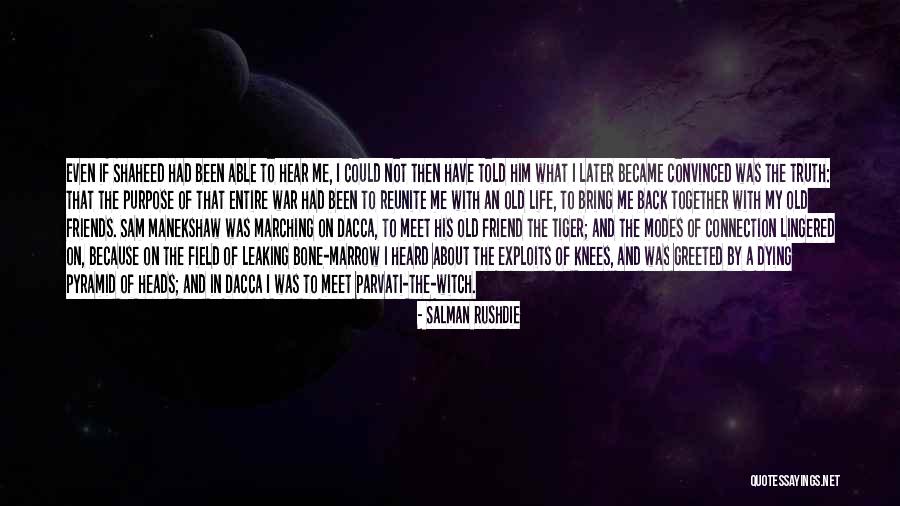 Chickweed Quotes By Salman Rushdie Chickweed Quotes By Salman Rushdie
