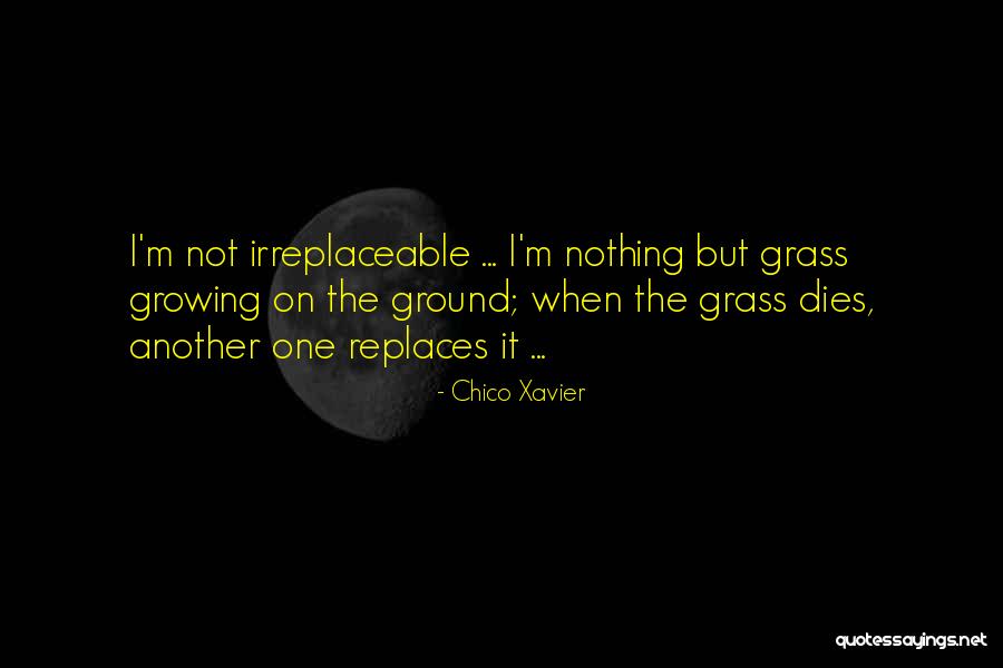 Chico Xavier Quotes 1924181