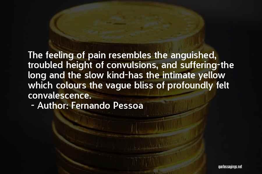 Chicotte Whip Quotes By Fernando Pessoa