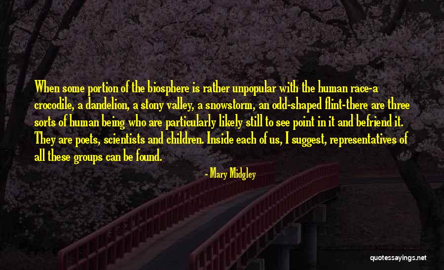 Chidambaram Nataraja Quotes By Mary Midgley Chidambaram Nataraja Quotes By Mary Midgley