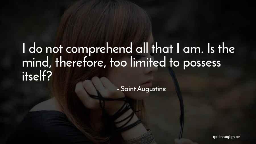 Chiddy Cheesesteaks Quotes By Saint Augustine Chiddy Cheesesteaks Quotes By Saint Augustine