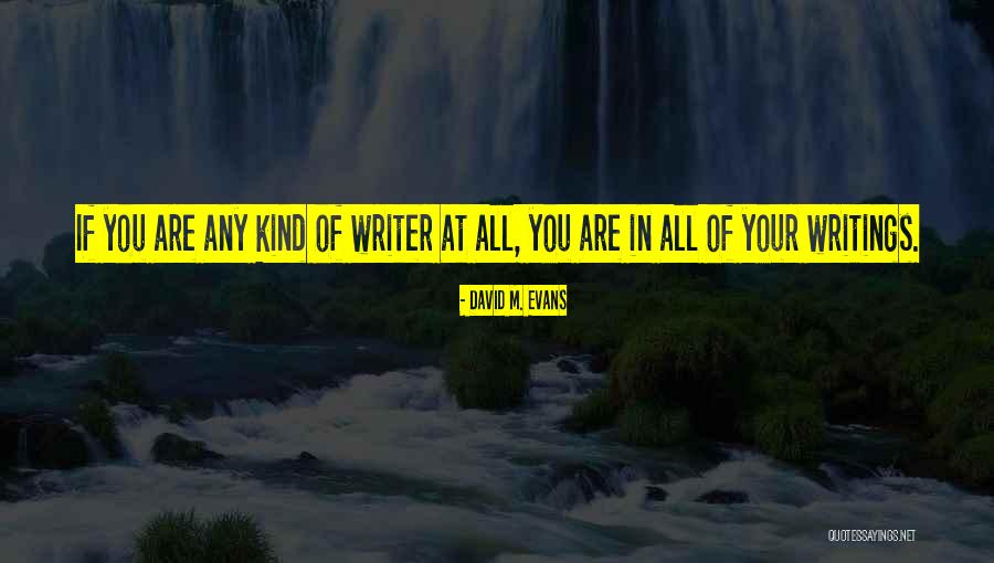 Chidi Okoye Quotes By David M. Evans Chidi Okoye Quotes By David M. Evans