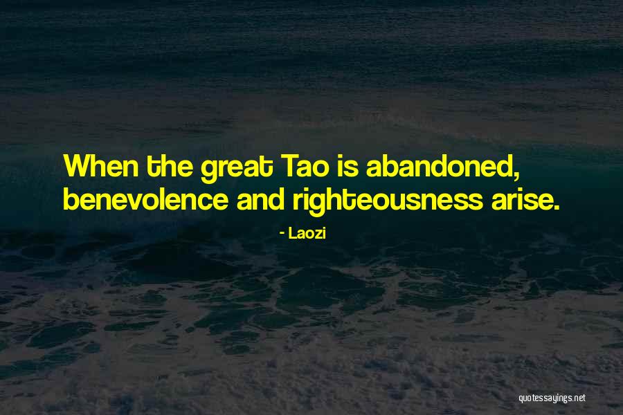Chidozie Nwankwo Quotes By Laozi