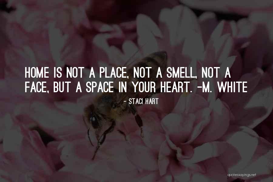 Chidumule Hosanna Quotes By Staci Hart Chidumule Hosanna Quotes By Staci Hart