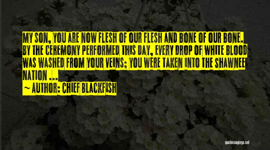 Chief Blackfish Quotes 139102