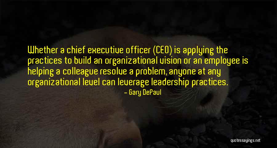 Chief Executive Officer Quotes By Gary DePaul