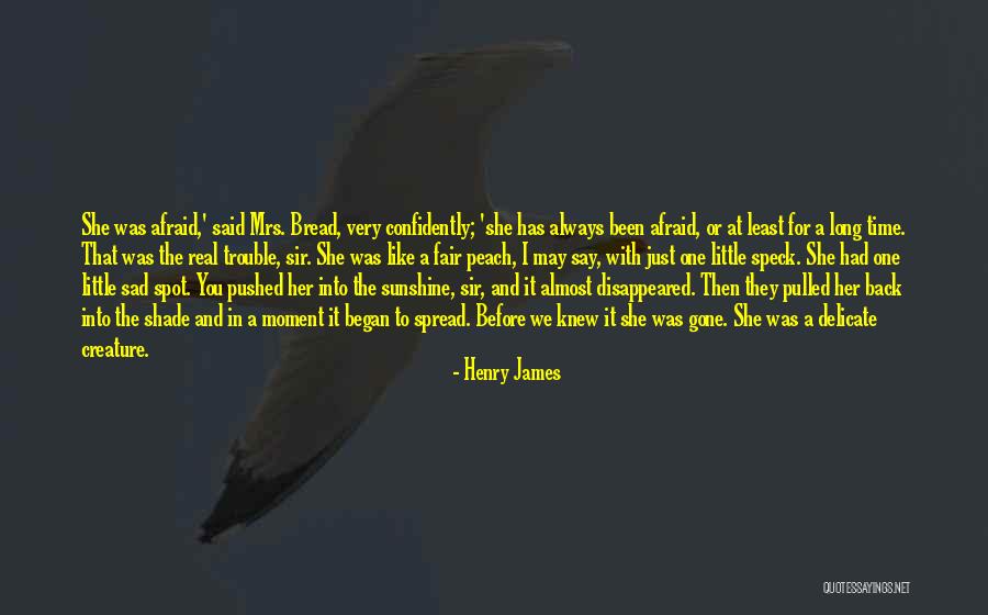Chief Quanah Parker Quotes By Henry James Chief Quanah Parker Quotes By Henry James