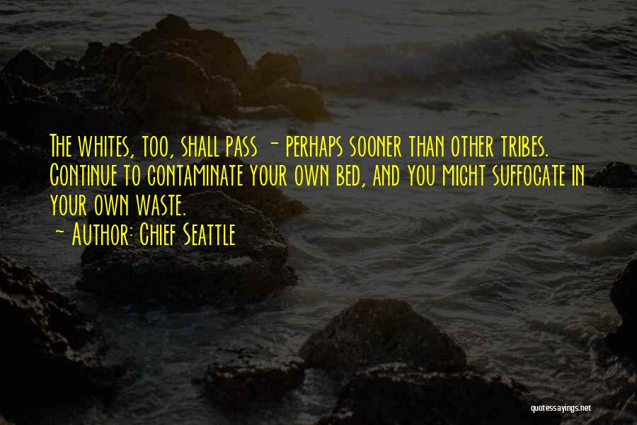 Chief Seattle Quotes 544679