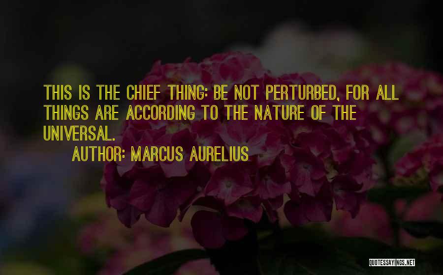 Chiefs Quotes By Marcus Aurelius