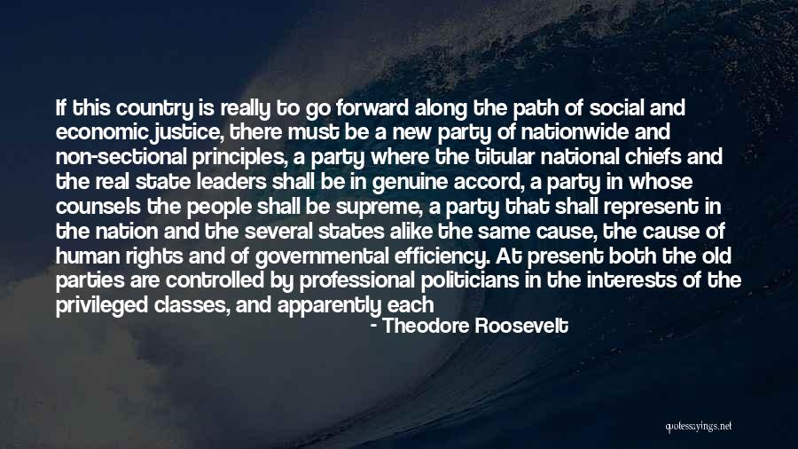 Chiefs Quotes By Theodore Roosevelt