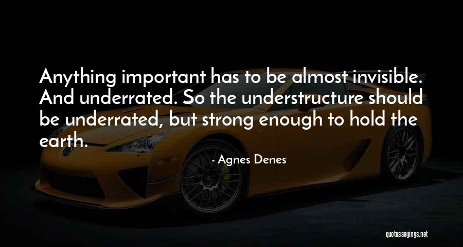Chieftain Restaurant Quotes By Agnes Denes Chieftain Restaurant Quotes By Agnes Denes