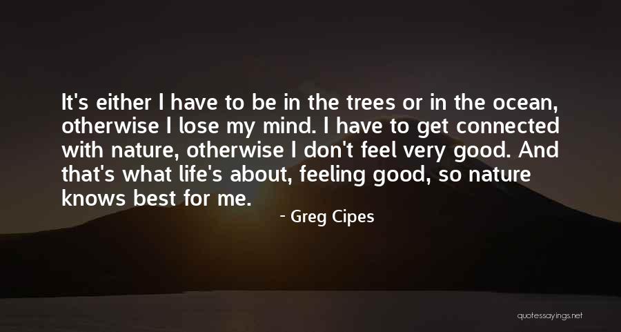 Chignon Crossword Quotes By Greg Cipes Chignon Crossword Quotes By Greg Cipes