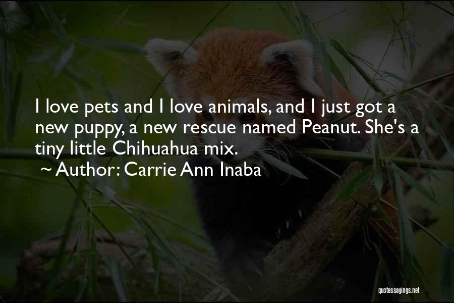 Chihuahua Love Quotes By Carrie Ann Inaba